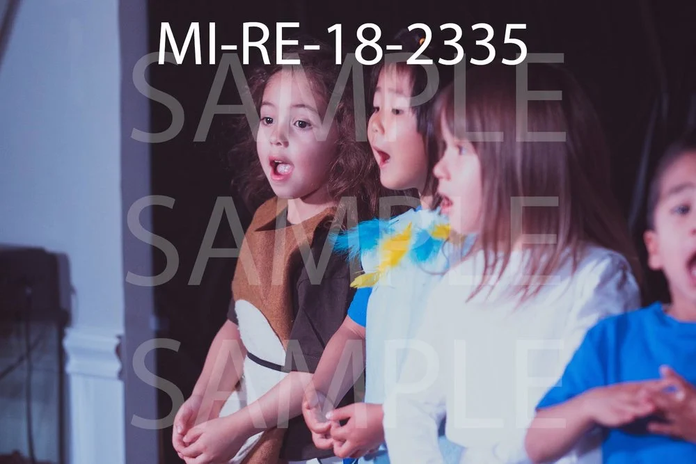 MI-RE-18-2335.jpg