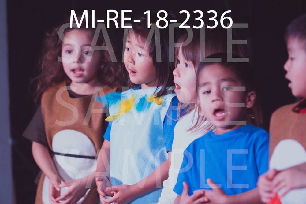 MI-RE-18-2336.jpg