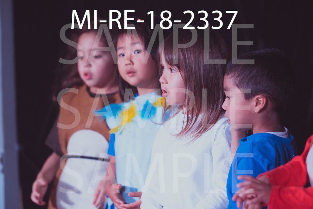 MI-RE-18-2337.jpg