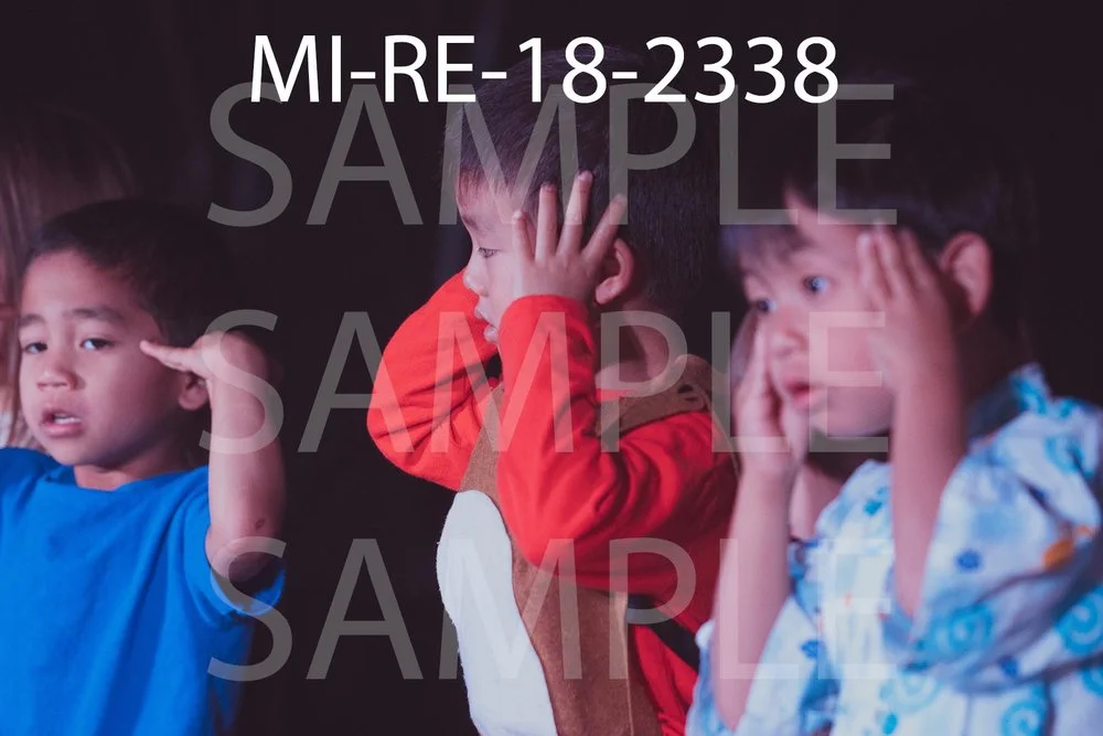 MI-RE-18-2338.jpg