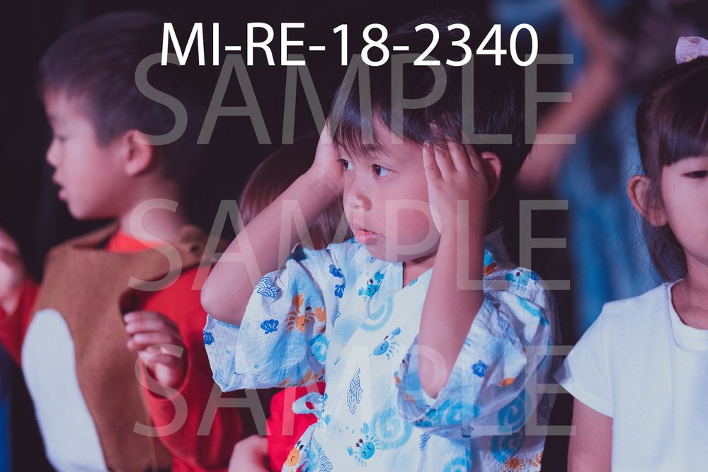 MI-RE-18-2340.jpg