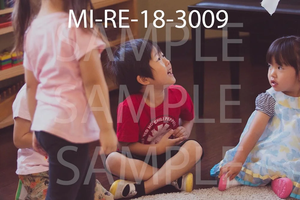 MI-RE-18-3009.jpg