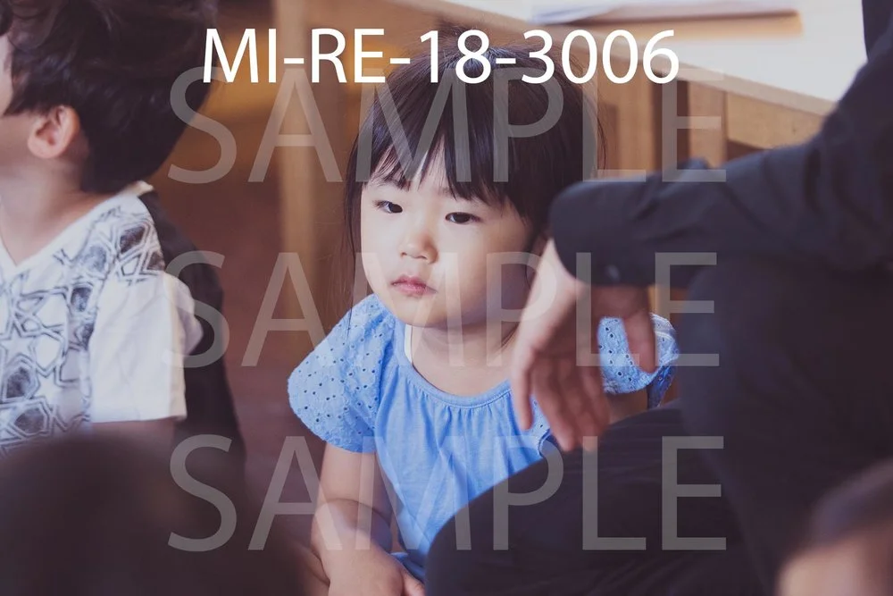 MI-RE-18-3006.jpg