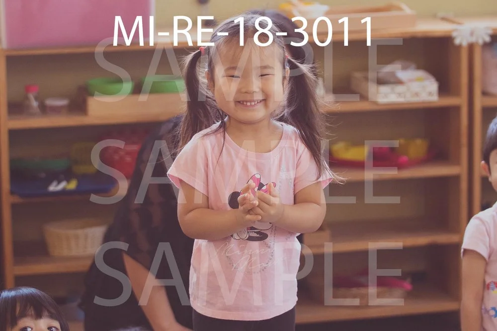 MI-RE-18-3011.jpg