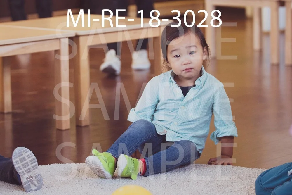 MI-RE-18-3028.jpg