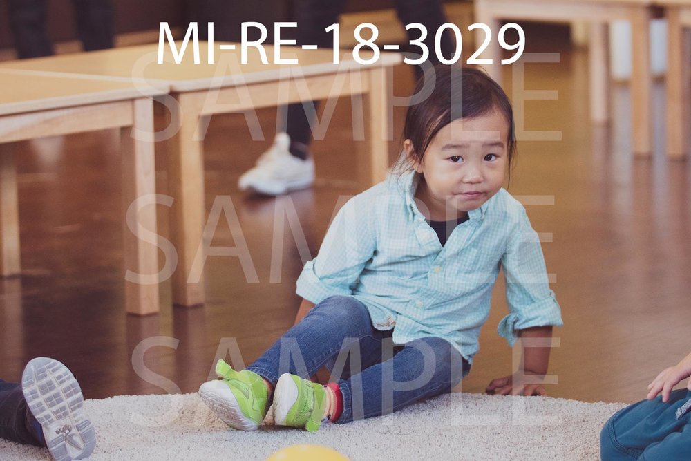 MI-RE-18-3029.jpg