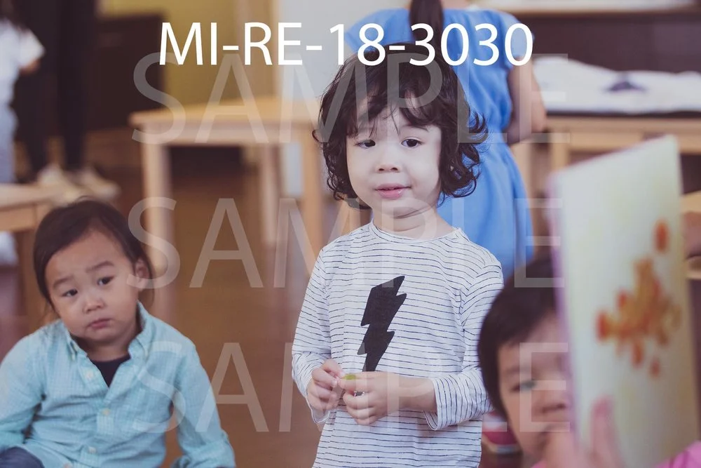 MI-RE-18-3030.jpg