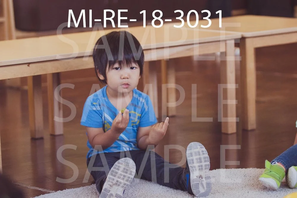 MI-RE-18-3031.jpg