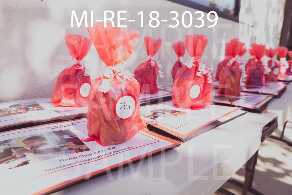 MI-RE-18-3039.jpg