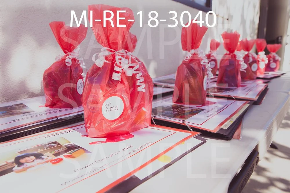 MI-RE-18-3040.jpg