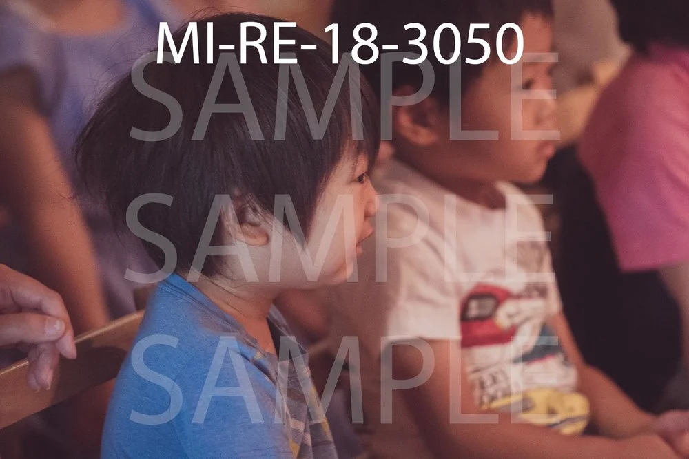 MI-RE-18-3050.jpg