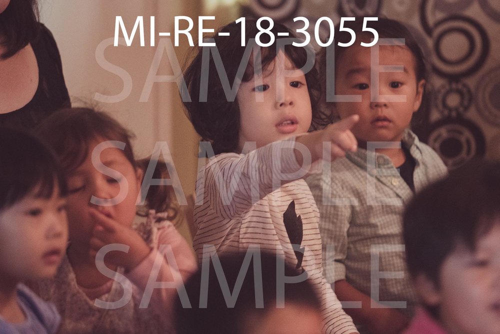 MI-RE-18-3055.jpg