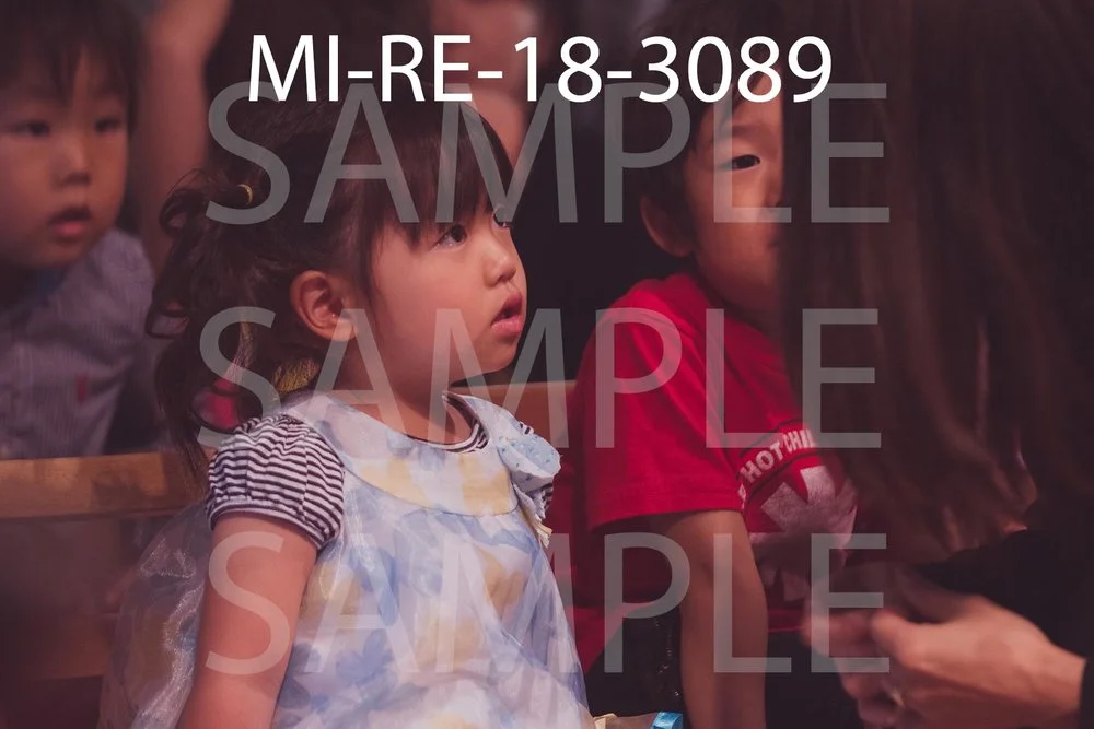MI-RE-18-3089.jpg