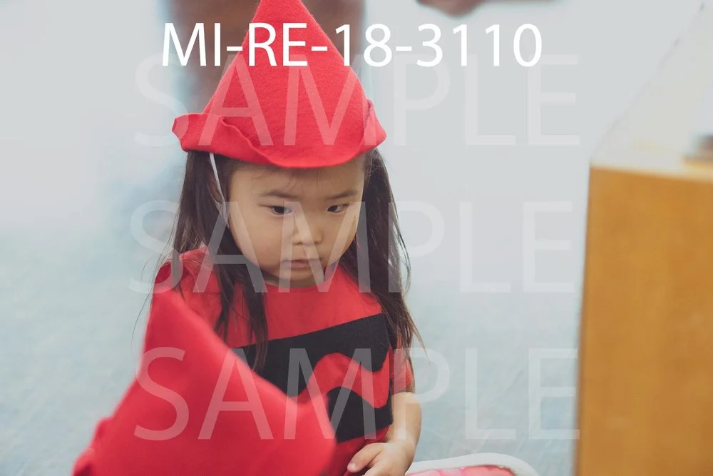 MI-RE-18-3110.jpg