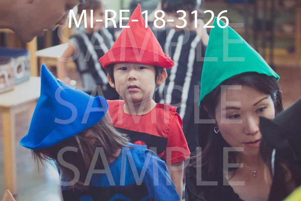 MI-RE-18-3126.jpg