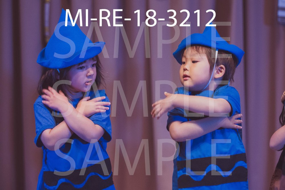MI-RE-18-3212.jpg