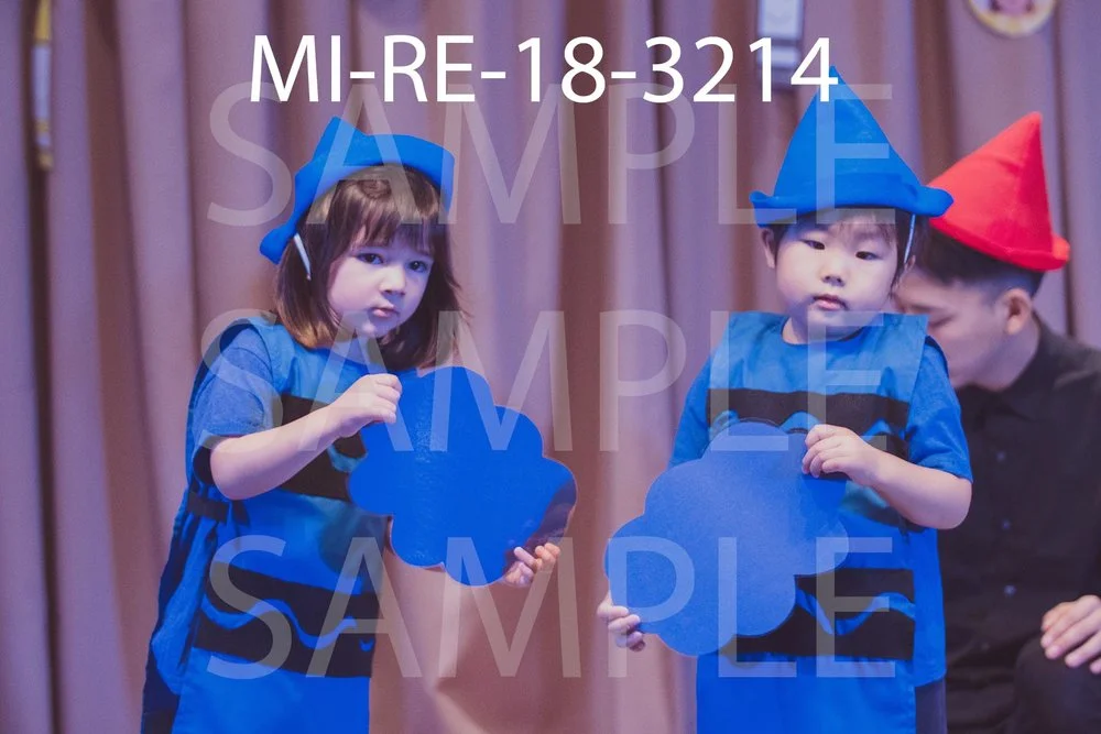 MI-RE-18-3214.jpg