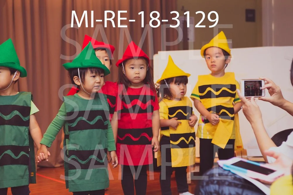MI-RE-18-3129.jpg