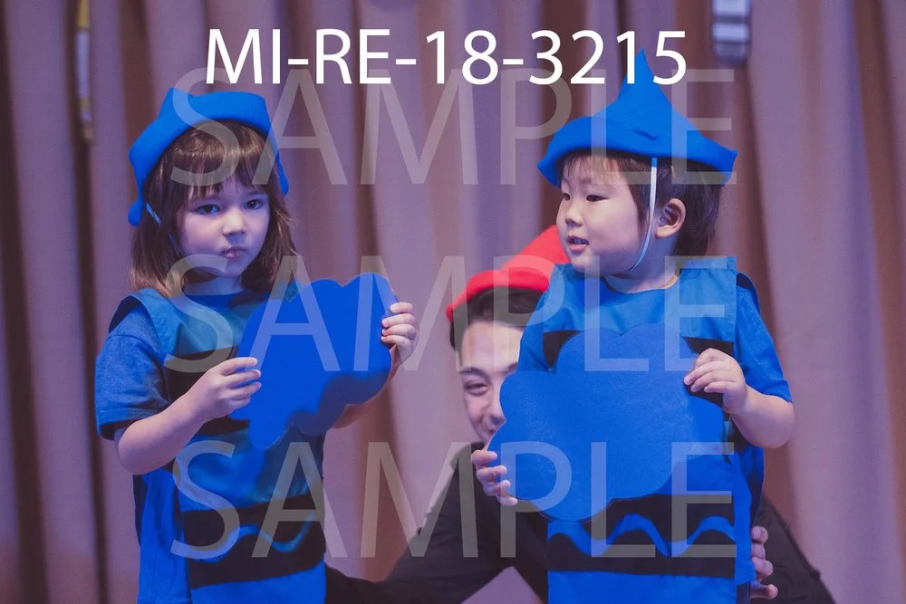 MI-RE-18-3215.jpg