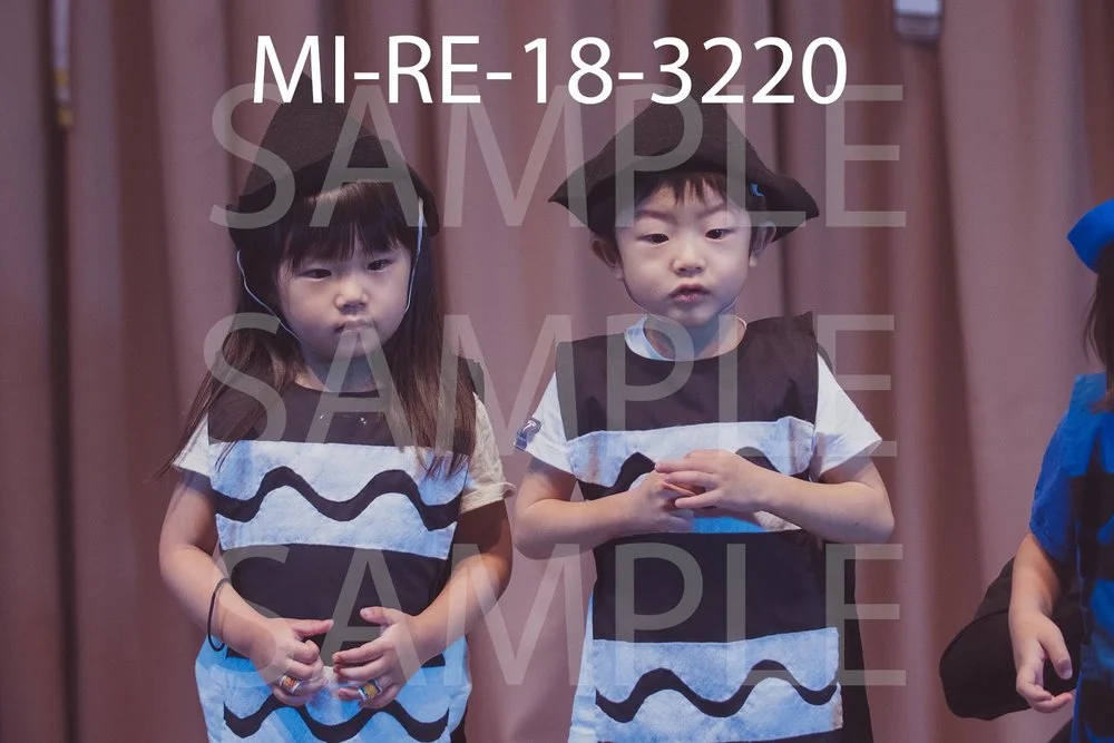 MI-RE-18-3220.jpg