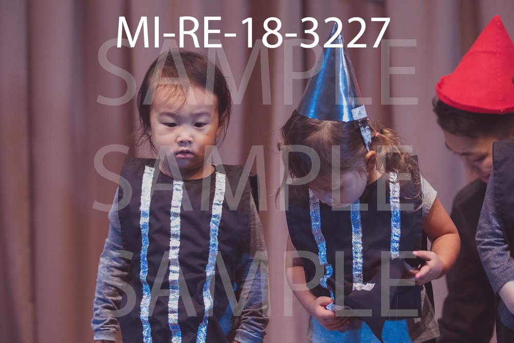 MI-RE-18-3227.jpg