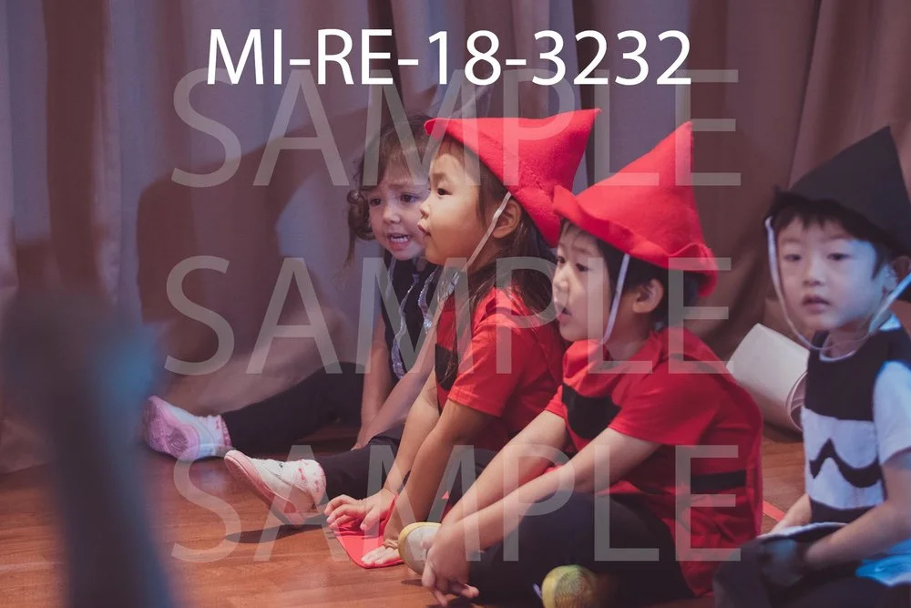 MI-RE-18-3232.jpg