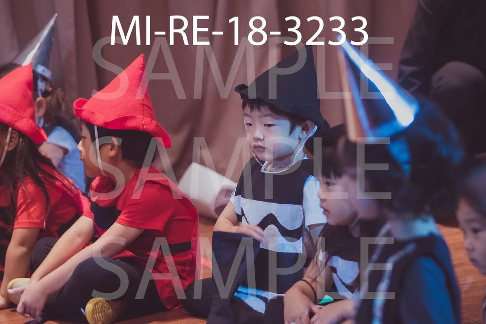 MI-RE-18-3233.jpg