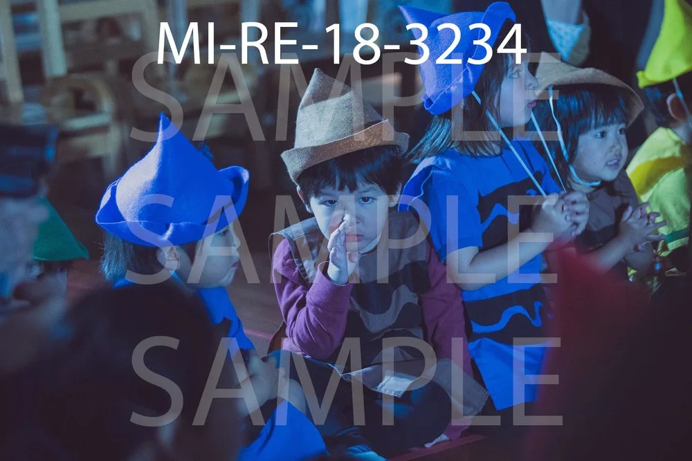 MI-RE-18-3234.jpg