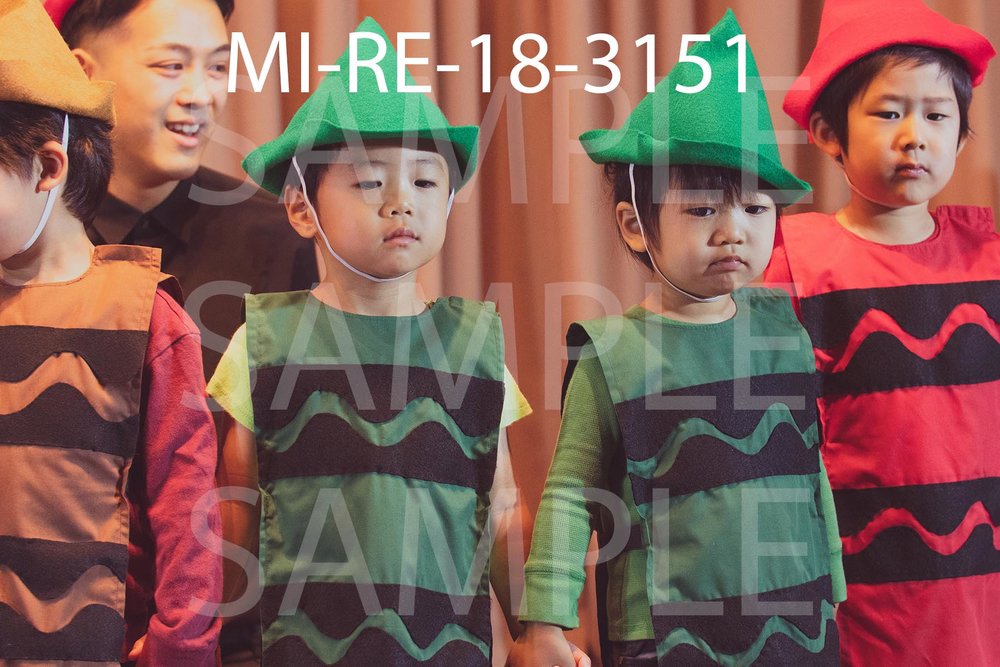 MI-RE-18-3151.jpg