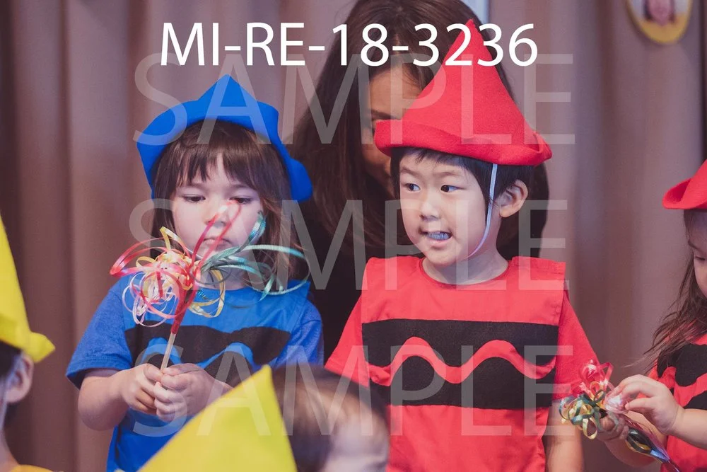 MI-RE-18-3236.jpg