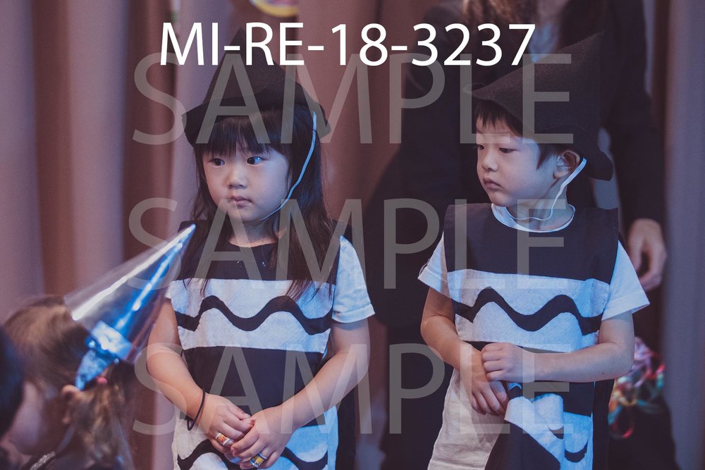 MI-RE-18-3237.jpg