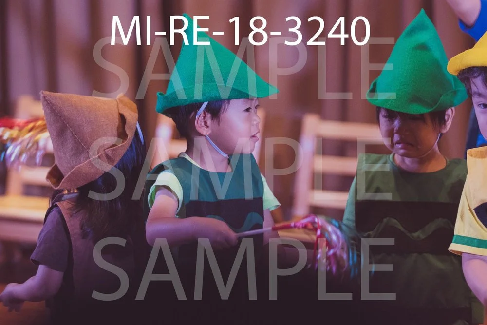 MI-RE-18-3240.jpg