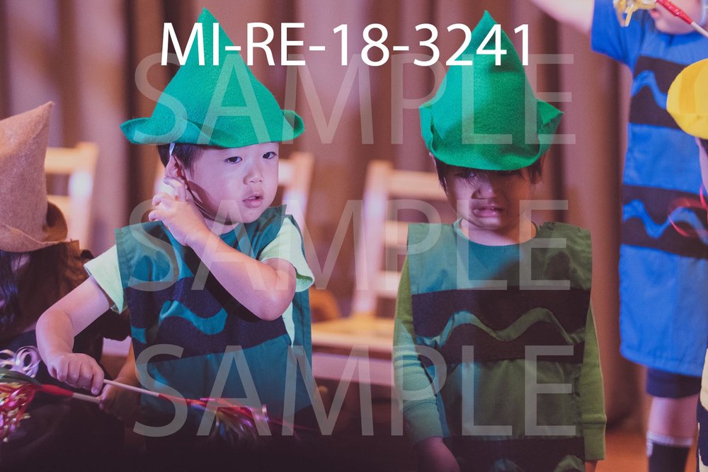 MI-RE-18-3241.jpg