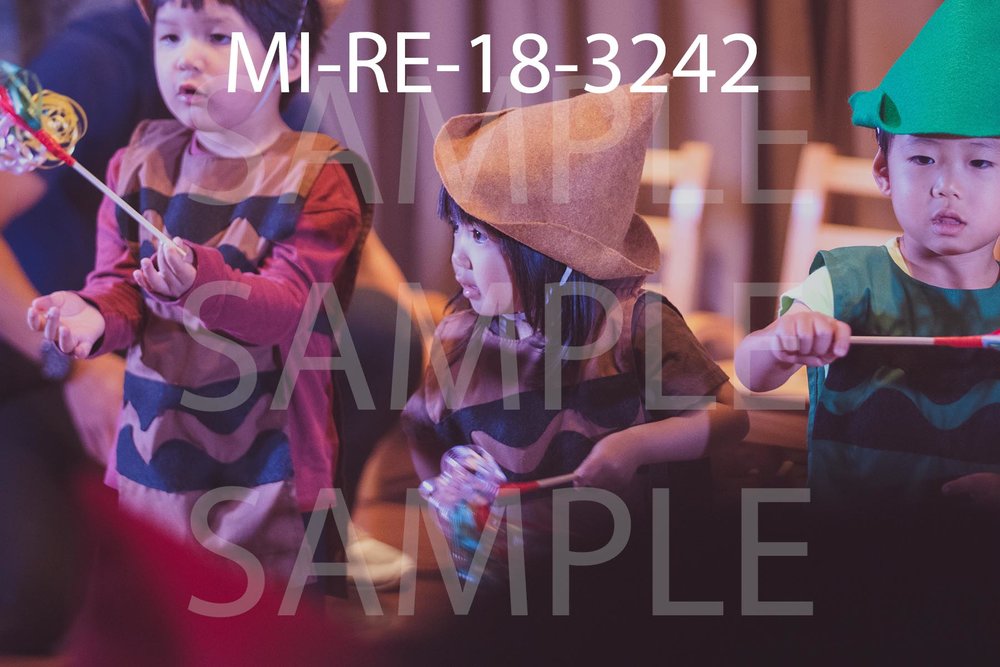 MI-RE-18-3242.jpg