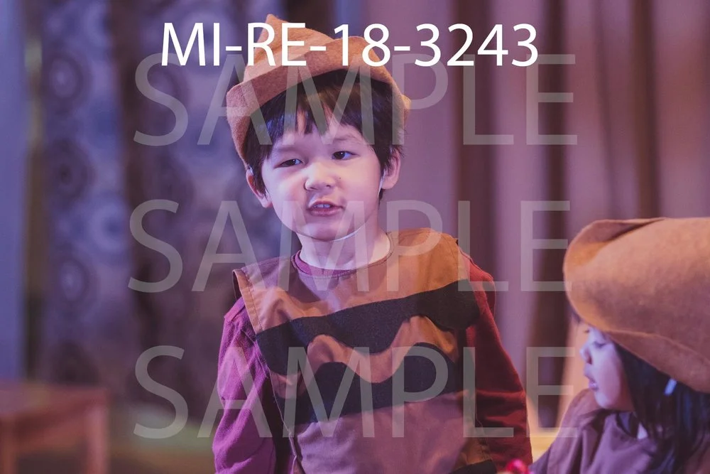 MI-RE-18-3243.jpg
