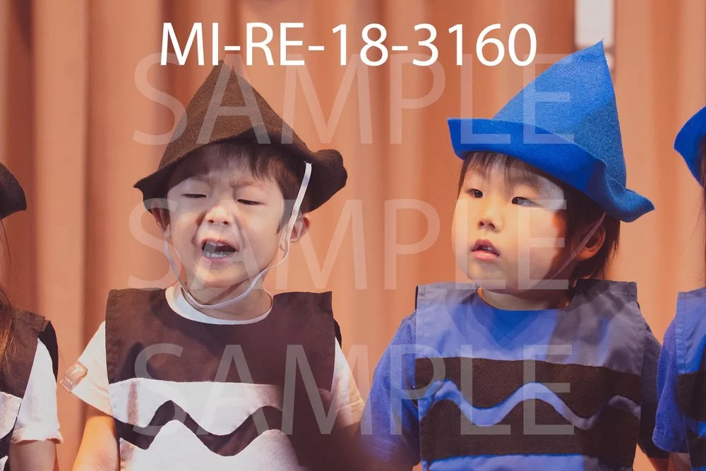 MI-RE-18-3160.jpg