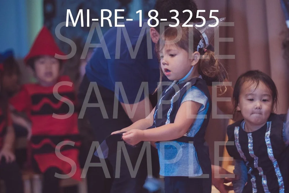 MI-RE-18-3255.jpg