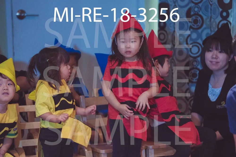 MI-RE-18-3256.jpg