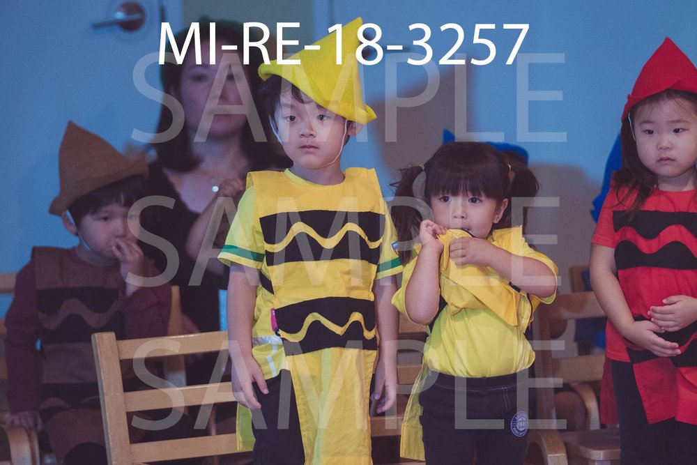 MI-RE-18-3257.jpg