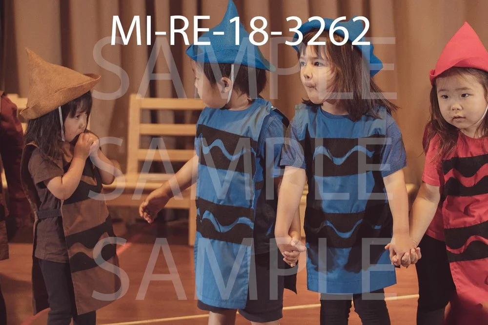 MI-RE-18-3262.jpg
