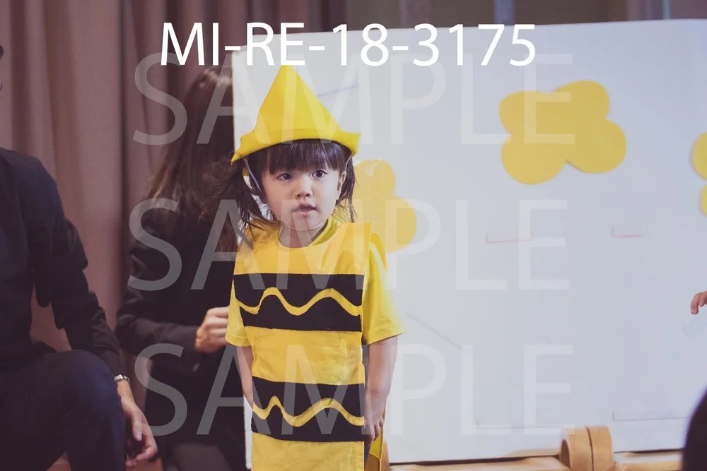 MI-RE-18-3175.jpg