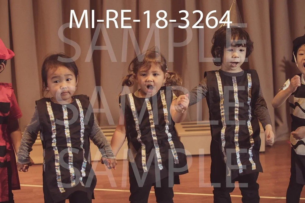 MI-RE-18-3264.jpg