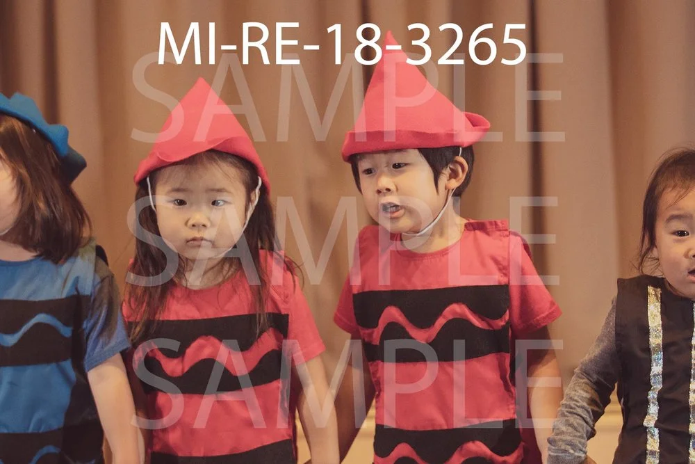 MI-RE-18-3265.jpg