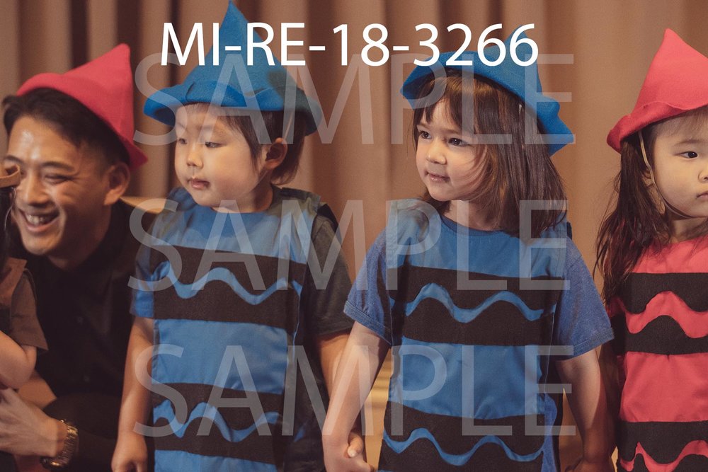 MI-RE-18-3266.jpg