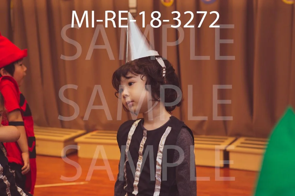 MI-RE-18-3272.jpg