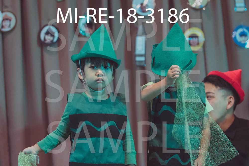 MI-RE-18-3186.jpg