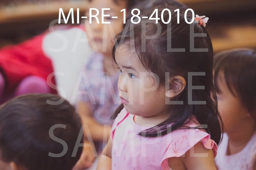 MI-RE-18-4010.jpg