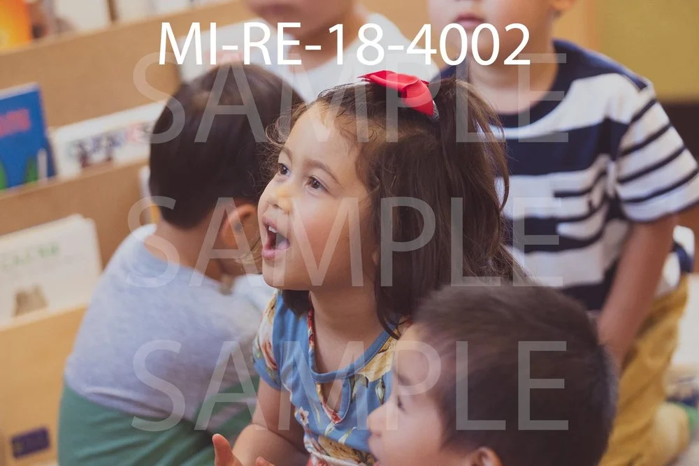 MI-RE-18-4002.jpg