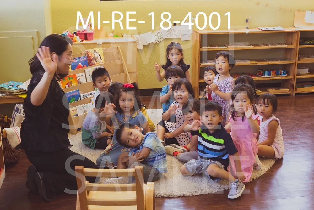 MI-RE-18-4001.jpg