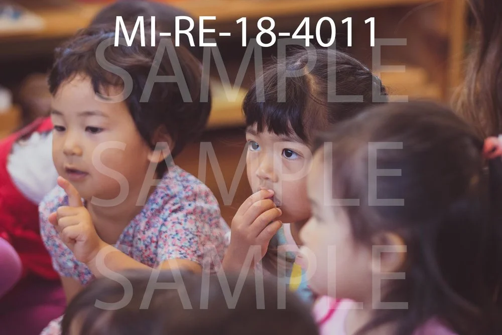 MI-RE-18-4011.jpg